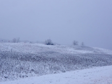Winter brings a subdued color palette to Frontenac State Park.
-Photo by Steve Dietz